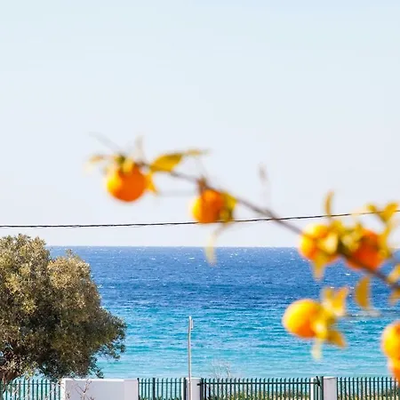 #flh - Citrus Holiday home *